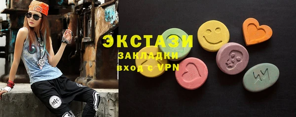 гашик Пестово