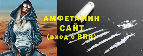 СК Пересвет