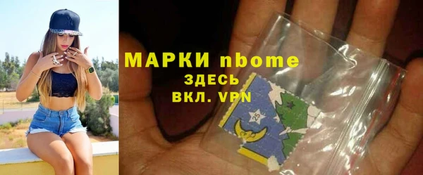 гашик Пестово
