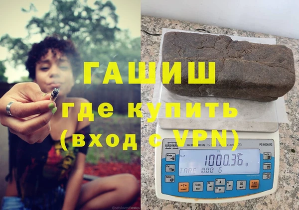 гашик Пестово