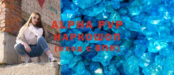 прущие грибы Балахна