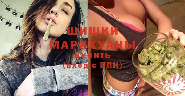 прущие грибы Балахна