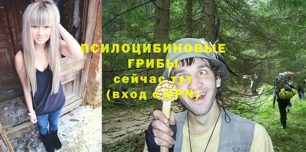 прущие грибы Балахна