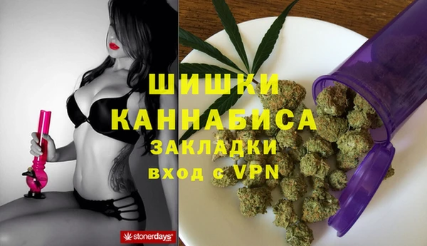 прущие грибы Балахна