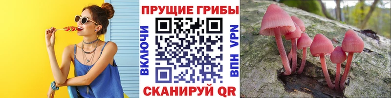 Псилоцибиновые грибы мухоморы  наркота  Красный Холм 